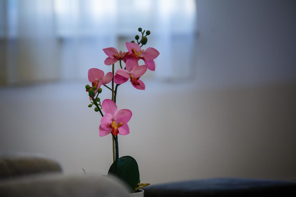 Foric Apartments With Outdoor Heated Pool ราบ ภายนอก รูปภาพ